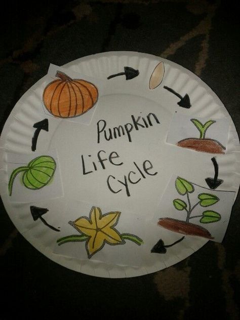 Pumpkin life cycle activity Could do on the back of paper plate pumpkin. October Homeschool, Paper Plate Pumpkin, Pumpkin Activities Preschool, Pumpkin Crafts Preschool, Science Halloween, Life Cycles Preschool, Fall Kindergarten Activities, Pumpkin Lessons, Pumpkins Preschool