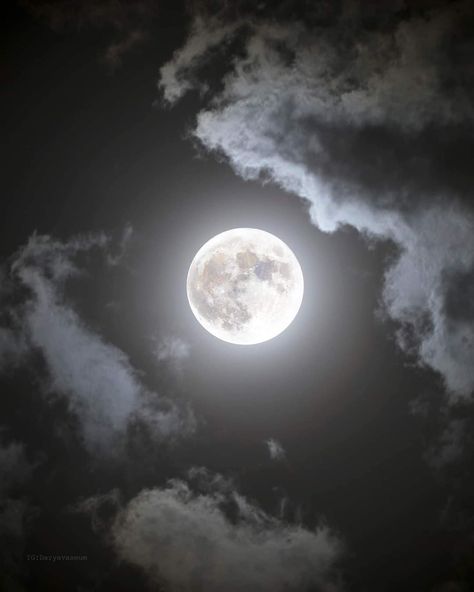 Boy Blurred Pic, Night Sky Photography, Luna Moon, Moon Photos, The Moon Is Beautiful, Look At The Moon, Moon Pictures, Night Scenery, Moon Cycles