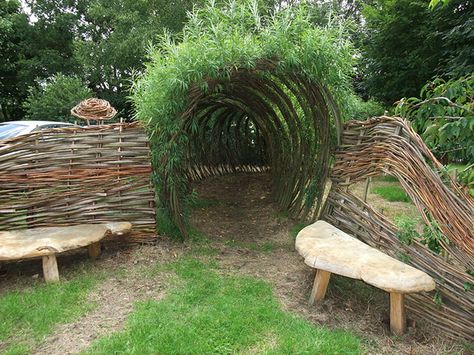 wonderful living willow archway and tunnel Living Willow Structures, Willow Structures, Living Structures, Willow Fence, Willow Garden, Living Willow, Halloween Garden, Willow Branches, Natural Playground