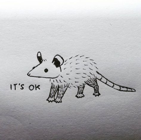 Possum Tattoo Design, Possum Line Art, Cute Opposum Drawing, How To Draw An Opossum, Small Possum Tattoo, Possum Art Cute, Possum Drawing Reference, How To Draw A Possum, Possum Drawing Simple