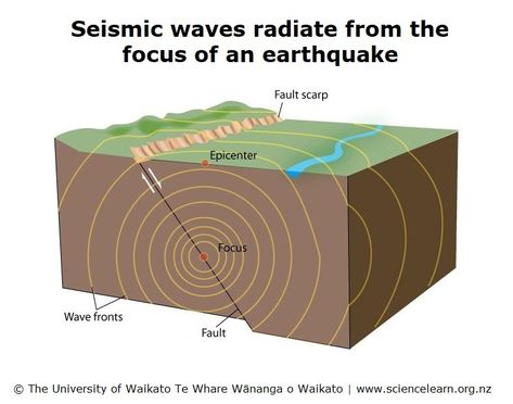 Seismic waves — Science Learning Hub Seismic Waves, Earth Science Lessons, Subduction Zone, Seismic Wave, S Wave, Science Topics, Shock Wave, Plate Tectonics, Diagram Design