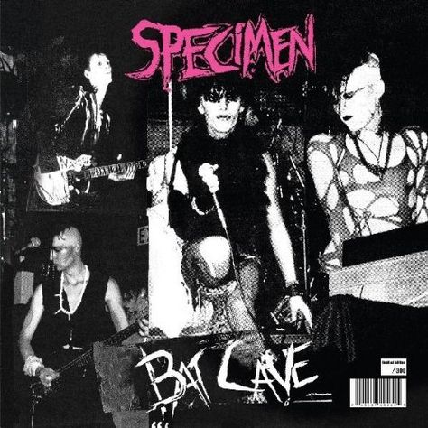 Specimen Specimen Band, Specimen Poster, Deathrock Fashion, The Batcave, Traditional Goth, Gothic Music, 80s Goth, Goth Bands, Dark Wave