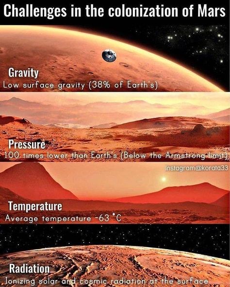 Colonization Of Mars, Water On Mars, Mars Colony, Earth Gravity, Space Colony, Mars Planet, Space Astronomy, Earth And Space Science, Space News