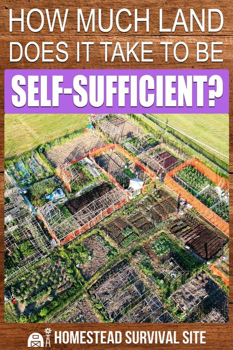 Self Sufficient Electricity, Self Sufficient Skills, Self Sufficient Community, How To Be Self Sufficient, Self Sufficient Home, Self Sufficient On 1/4 Acre, Self Sufficient Living, Homestead Layout, Homestead Lifestyle