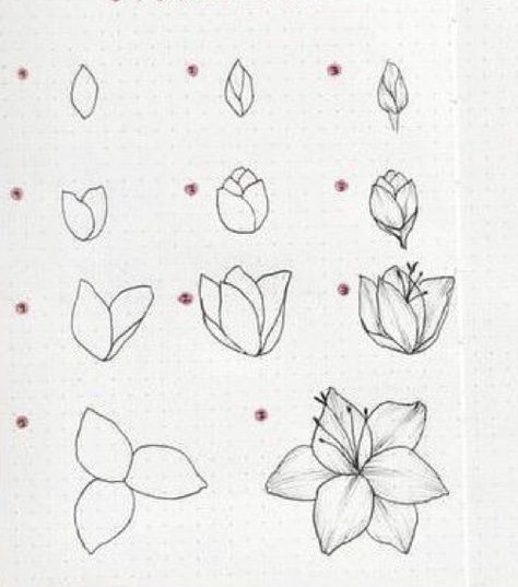 Trin For Trin Tegning, Instagram Font, Flower Drawing Tutorials, Flower Art Drawing, Flower Sketches, Floral Drawing, Easy Drawings Sketches, Doodle Art Designs, Pencil Art Drawings