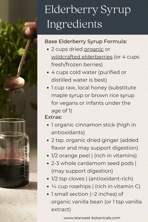 Benefits Of Elderberry Syrup, Benefits Of Elderberry, Dried Elderberries, Elder Tree, Elderberry Syrup Recipe, Homemade Elderberry, Elderberry Recipes, Sambucus Nigra, Herbal Medicine Recipes