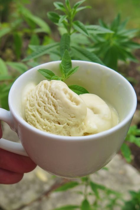 lemon verbena ice cream Lemon Verbena Ice Cream, Lemon Verbena Uses, Lemon Verbena Recipes, Roasted Nectarines, French Desserts Easy, Chef Table, Roasted Peaches, Egg Yolk Recipes, Ice Cream Recipes Machine