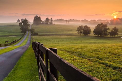 ***Rural sunset (Kentucky) by Rick Scalf Future Farms, Horse Farm, Country Landscaping, Country Scenes, Tim Mcgraw, Home Again, Horse Barns, Back Road, Horse Farms