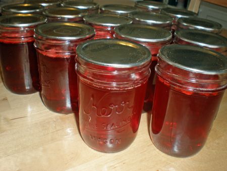 BEET JELLY-3 cups beet juice, 4t lemon juice, 1 box powdered pectin, 4 cups sugar, 1 small pkg raspberry Kool-aid Sand Plum Jelly Recipe, Beet Jelly Recipe, Beet Jelly, Picnic Boxes, Grapefruit Marmalade, Honey Jam, Native American Food, Canning Jam, Plum Jam