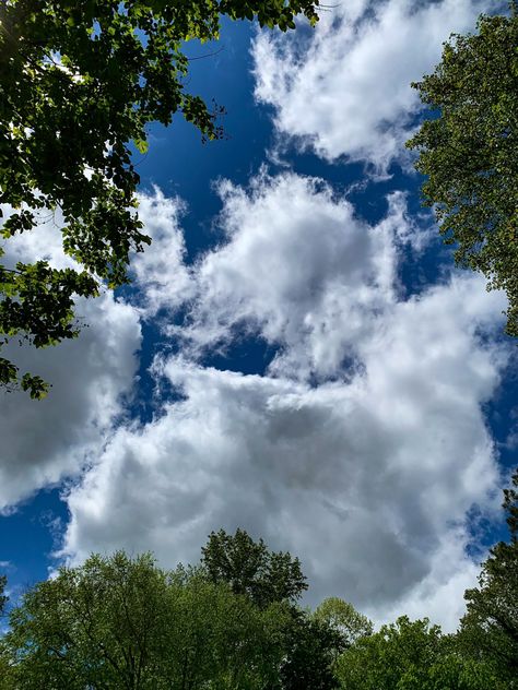 Cumulus Clouds Aesthetic, Blue Sky Wallpaper, Cumulus Clouds, Blue Sky Clouds, Creative Life Quotes, Sky Pictures, Pretty Sky, Minimalist Wallpaper, Cool Pictures Of Nature