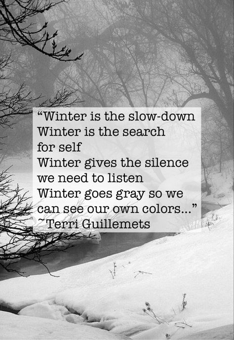 Winter is the slow-down
Winter is the search for self
Winter gives the silence we need to listen
Winter goes gray so we can see our own colors...
~Terri Guillemets Slow Winter Aesthetic, Winter Beauty Quotes, Winter Rest Quotes, Wintering Quotes, Winter Wellness Aesthetic, Winter Is Coming Quotes, December Quotes Winter, Winter Quotes Inspirational, Snowless Winter