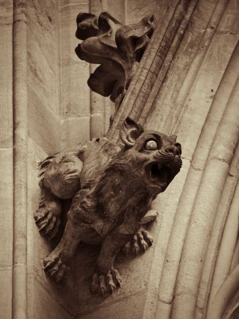 Cat Gargoyle, Gargoyles Art, Gothic Gargoyles, Architectural Sculpture, Prague Castle, Ange Demon, Stone Statues, Mystical Creatures, The Chaos