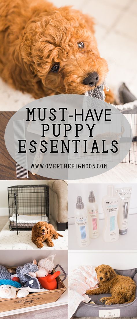 Dog Essentials Products, Skillet Dip, Guacamole Bites, Puppy Essentials, Puppy Items, Puppy List, New Puppy Checklist, Puppy Checklist, Work Food