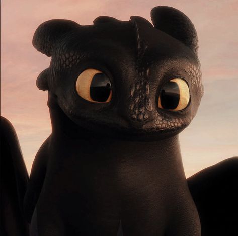 @Black_Amber_Rose Toothless Pfp, Toothless Wallpaper, Cute Toothless, Httyd Toothless, Toothless Night Fury, Dragon Wallpaper Iphone, Dragon Icon, Httyd Art, Toothless Dragon