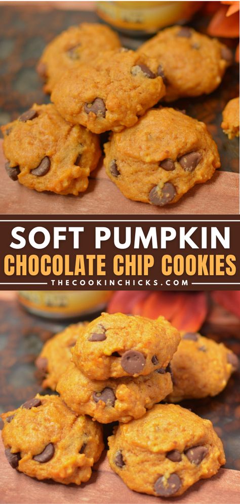 Soft Pumpkin Chocolate Chip Cookies are incredibly flavor packed and easy to make! Moist, almost cake-like cookies that are loaded with Fall flavor! Perfect to enjoy with your morning coffee, as an anytime snack, or an evening sweet treat! Pumpkin Chocolate Chip Cookies 3 Ingredient, Two Ingredient Pumpkin Cookies, 4 Ingredient Pumpkin Cookies, Levian Chocolate Chip Cookies, Easy Cookie Recipes 4 Ingredients, Muffin Top Cookies, Easy Pumpkin Chocolate Chip Cookies, Pumpkin Chocolate Chip Cookies Easy, Soft Pumpkin Chocolate Chip Cookies