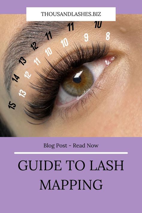 Mapping Eyelash Extensions, Lash Mapping Eyelash Extensions, Lash Mapping, Lashes Fake Eyelashes, Eyelash Tips, Eyelashes Extensions, Eyelash Technician, Cat Eye Lash, Lash Extensions Styles