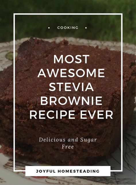 Stevia Brownies, Stevia Recipes Desserts, Muffin Snacks, Stevia Desserts, Savory Desserts, Sugar Free Frosting, Stevia Recipes, Sugary Treats, Sugar Free Brownies