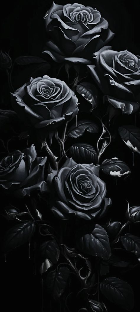 Roses in Black/White/Blue/Greyscale cropped close up mobile wallpaper 1080x2400 Grey Rose Wallpaper, Latina Wallpaper, Fav Wallpaper, Beautiful Moon Pictures, Black Roses Wallpaper, Black Rose Flower, Lock Screen Wallpaper Iphone, Butterflies Art, Beautiful Butterflies Art