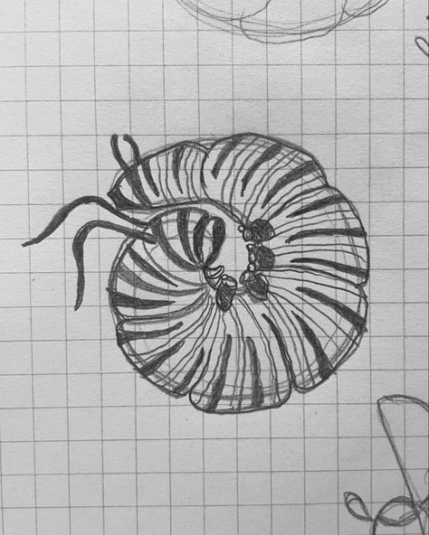 Sketch of a monarch caterpillar curled up in a ball Caterpillar Sketch, Caterpillar, Sketch, Quick Saves