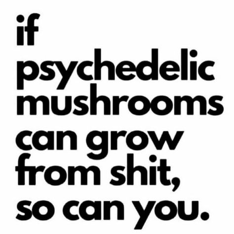 Mushroom Quotes, Funny Day Quotes, Keep Growing, Strong Quotes, Love Yourself Quotes, Believe In Yourself, Spirit Guides, Fact Quotes, Quotes Deep