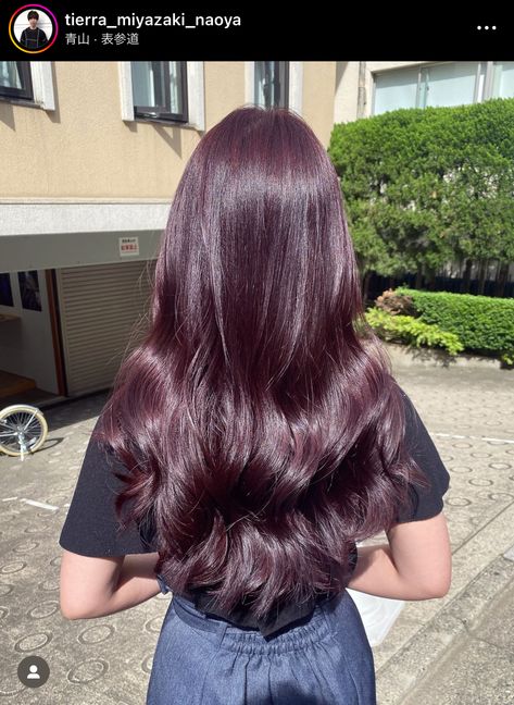 Dark Purple Undertone Hair, Dark Cherry Plum Hair, Purple Tinted Hair Brown, Red Purple Brown Hair, Berry Purple Hair, Raspberry Brown Hair, Red Plum Hair, Lavender Brown Hair, Dark Brown Purple Hair