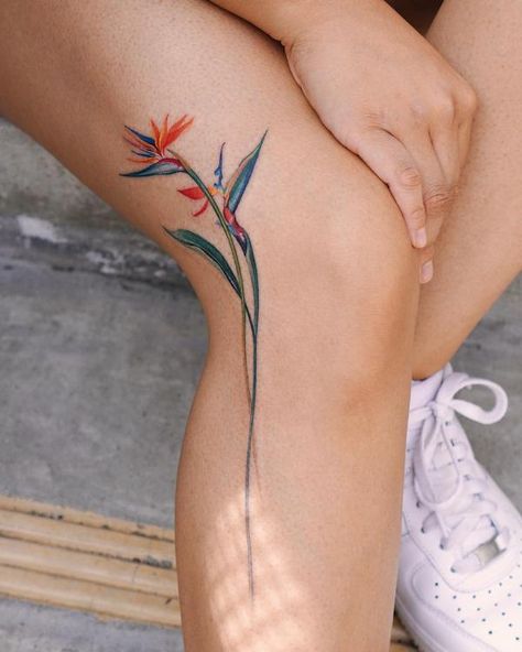 Small bird of paradise leg tattoo Bord Of Paradise Tattoo, Bird Of Paradise Back Tattoo, Ti Leaf Lei Tattoo, Birds Of Paradise Flower Tattoo, Bird Of Paradise Plant Tattoo, Paradise Bird Tattoo, Tropical Plants Tattoo, Birds Of Paradise Plant Tattoo, Tattoo Bird Of Paradise