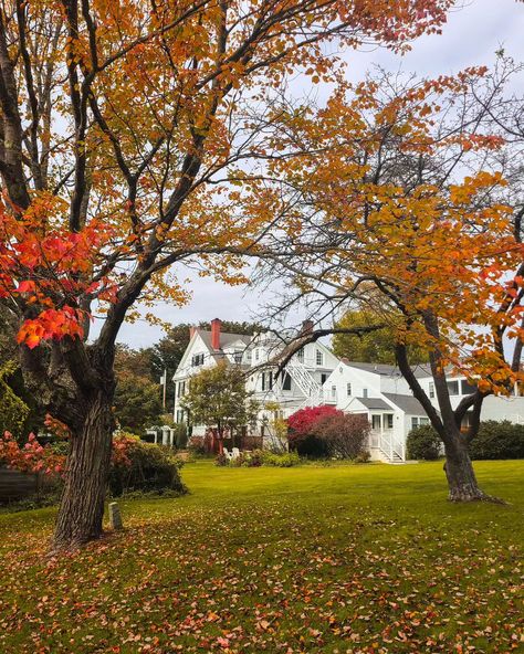 Maine Aesthetic Fall, Maine Autumn Aesthetic, Maine Astetic, Maine In Fall, Autumn In Maine, Maine Architecture, Maine Autumn, Autumn Nostalgia, Storybrooke Maine