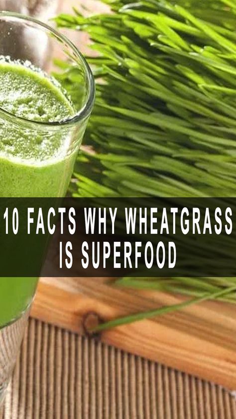 10 Facts Why Wheatgrass Is Superfood Benefits Of Wheatgrass Powder, Wheat Grass Powder, Wheatgrass Benefits, Wheat Grass Shots, Improve Fertility, Increase Metabolism, Diy Remedies, Wheat Grass, Workout Regimen