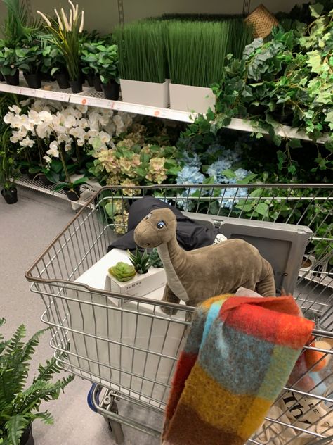 #ikea #shopping #interior #plants #aesthetic #dinosaur #green Ikea Shopping Aesthetic, Ikea Dinosaur, Dinosaurs Aesthetic, Ikea Core, Aesthetic Dinosaur, Dinosaur Aesthetic, Madison Core, Ikea Aesthetic, Dino Plush