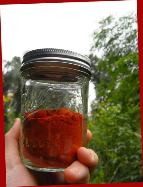 Ground Cayenne Pepper, Dried Peppers, Seasoning Blends, Florida Gardening, Pepper Seeds, Seasoning Blend, Cayenne Pepper, Cayenne Peppers, Red Pepper