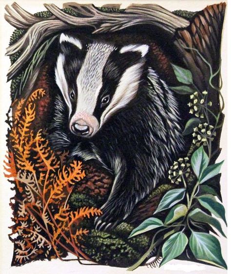 Watercolour Styles, Yule Cards, Badger Tattoo, Badger Art, Badger Illustration, Ravenclaw Hufflepuff, Hufflepuff Pride, Elephant Illustration, Linocut Art