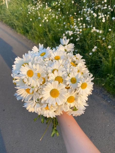 Frühling Wallpaper, Vintage Flowers Wallpaper, Daisy Bouquet, Boquette Flowers, Nothing But Flowers, Flower Therapy, 背景 シンプル, Beautiful Bouquet Of Flowers, Daisy Flowers