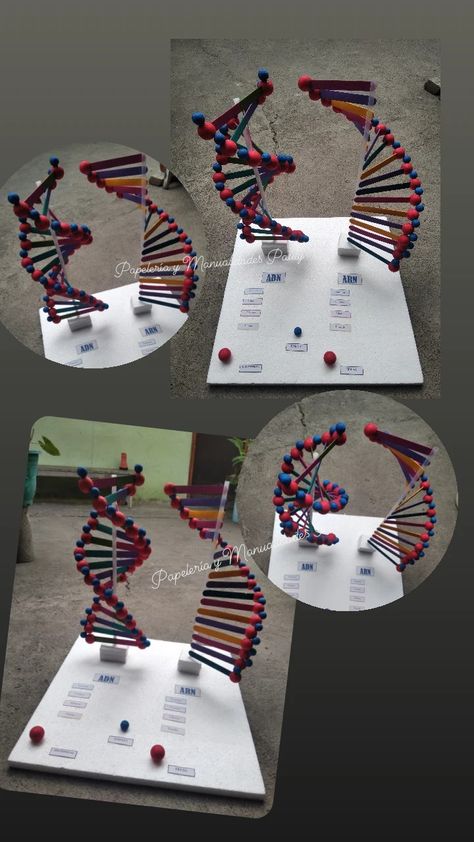 Dna Structure Model, Dna And Rna, Dna Structure, Dna Strand, Architecture Drawing Art, Big Bang Theory, Big Bang, Drawing Art, Architecture Drawing