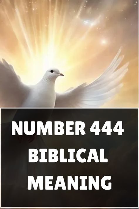 Sift through the mysterious symbolism of the number 444 in the Bible, and discover its potential connection to divine messages and guidance. 333 Biblical Meaning, Biblical Numbers, 444 Meaning, Numerical Patterns, Message Of Encouragement, Number Meanings, Spiritual Beliefs, Spiritual Messages, Spiritual Enlightenment