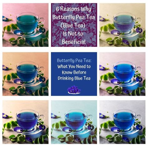 Benefits Of Butterfly Pea Tea, Blue Pea Flower Benefits, Butterfly Tea Benefits, Blue Butterfly Pea Flower Benefits, Butterfly Pea Flower Tea Benefits, Blue Butterfly Pea Flower, Pea Flower Tea, Butterfly Pea Tea, Butterfly Pea Flower Tea