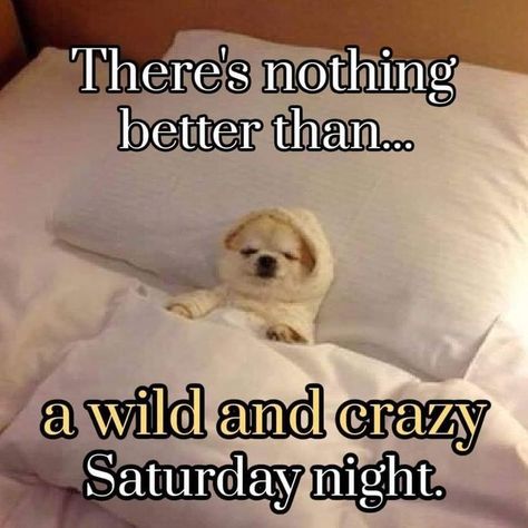 Saturday Morning Humor Hilarious, Saturday Night Humor Staying Home On A, Saturday Night Humor, Snuggles Quotes, Sunday Morning Quotes Funny, Saturday Night Quotes, Saturday Night At Home, Happy Saturday Night, Saturday Quotes Funny