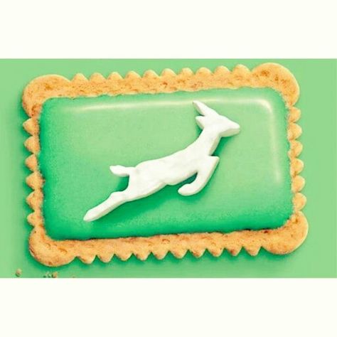 Springbok you biscuit! Springbok Rugby Party Invite, Springbok Party Ideas, Springbok Rugby Theme Party Ideas, World Cup Cookies, Springbok Rugby Party, Springboks Rugby South Africa, Rugby South Africa, Graham Cake, Springboks Rugby