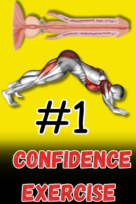 One of the confidence-boosting exercises may be strengthening the pelvic floor muscles. #mandhood #menshealth #exercise #maleworkouts Exercise For Pelvic Floor Muscle, Kegel Exercise Benefits, Gym Back Workout, Pelvic Floor Muscle Exercise, Kegel Exercise For Men, Exercise Benefits, Pelvic Floor Exercises, Kegel Exercise, Pelvic Floor Muscles