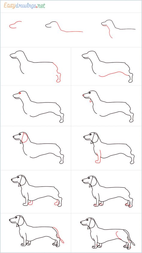 How To Draw A Dachshund Step by Step - [13 Easy Phase] Drawing A Dachshund, How To Draw A Dachshund Step By Step, How To Draw A Weenie Dog, How To Draw Dachshund, Dachshund Reference, How To Draw A Dachshund, Dachshund Drawing Easy, How To Draw A Cute Dog, How To Draw A Dog Step By Step