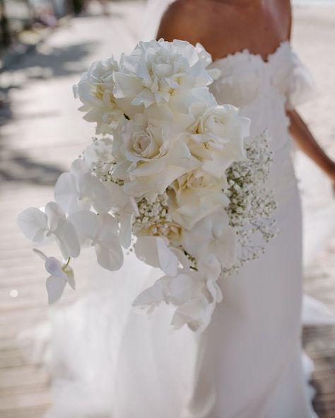 WILLOW BUD on Instagram: “Roses, phalaenopsis orchids and babies breath; classic modern Noosa elegance.⁣ Gaby and Nathan had to re-plan their wedding day due to…” Orchard Bouquet Wedding, White Cherry Blossom Bouquet, Gypsophila And White Rose Bouquet, White Eucalyptus Bouquet, Contemporary Wedding Bouquet, Cascading Orchid Wedding Bouquet, Roses And Orchids Bouquet, Wedding Bouquets Orchids, Bridal Bouquet Orchids