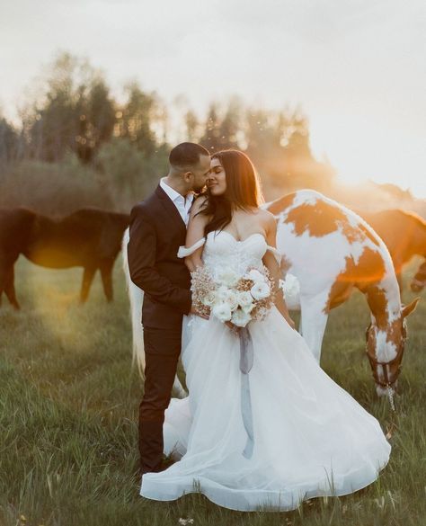 a fan of both urban and rural wedding moments. ⁠ ⁠ Photography: @soniavphoto⁠ Planning and design: @seaandsilkevents⁠ Rentals: @groupeabp⁠ Florals: @maisonanthea⁠ Stationery: @wishtree_invites⁠ ⁠ #wedding #luxurywedding #modernbride #brides #weddingfashion #married #bride #realwedding #weddingphotographer #destinationwedding #weddingphotography #weddingday #beautiful #weddingplanning #groom #weddingdress #engaged #bridetobe #weddinggown #engagement #rusticwedding #elopement #weddinginspiratio... Highland Cow Wedding Photos, Wedding Pics With Horses, Wedding Moments Photography, Bride And Horse Photography, Bride And Groom With Horse, Wedding Photos With Cows, Rural Wedding, Invites Wedding, Wedding Portrait Poses