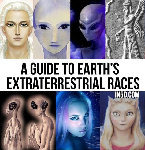 Alien Facts, Types Of Aliens, Ancient Astronaut, Arte Alien, The Boogeyman, Aliens And Ufos, Alien Races, Ancient Egyptian Art, Alien Creatures