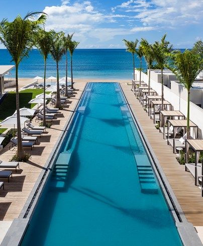 Silversands: St. George's, Grenada Beach Infinity Pool, Hotel Pool, Hospitality Design, Caribbean Islands, Beach Hotels, Cool Pools, Hotels Design, Infinity Pool, 100m