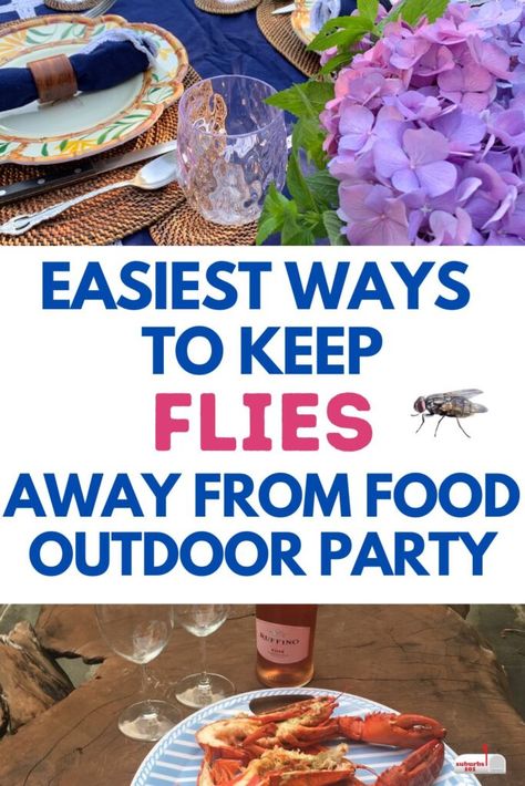 How to Keep Flies Off Food at Your Outdoor Party How To Cover Food For Outside Party, Outdoor Wedding Foods, Outdoor Party Foods, Outdoor Dinner Table, Food For Entertaining, Outdoor Buffet, Flies Outside, Backyard Dinner, Outdoor Catering