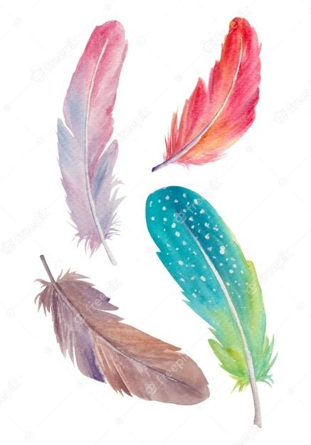 Premium Vector | Watercolor feathers Colorful Feather Drawing, Paintings Of Feathers, Feather Illustration Design, Watercolor Feather Painting, Feather Painting Ideas, Watercolour Feathers, Feather Drawings, Feathers Drawing, Drawing Feathers