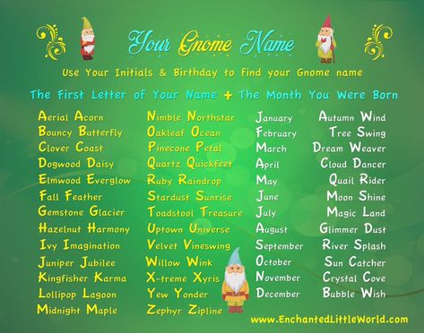 Gnome Names Funny, Gnome Names Generator, Christmas Name Generator, Paparazzi Advertising, Elf Name Generator, Gnome Names, Funny Name Generator, Fantasy Name Generator, Ninja Name