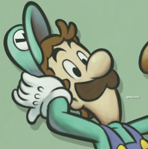 Luigi Pfp, Pfp Icon Aesthetic, Nintendo Sega, Mario Luigi, Mario Nintendo, Paper Mario, Super Mario Art, Super Mario Brothers, Mario Art