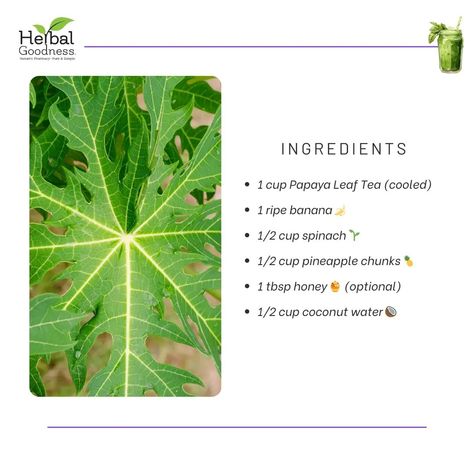 🌿 ITP-Friendly Recipe: Papaya Leaf Smoothie 🍹 Boost your platelet count naturally with this delicious Papaya Leaf Smoothie, perfect for supporting ITP patients! 💪 Ingredients: - 1 cup Papaya Leaf Tea (cooled) - 1 ripe banana 🍌 - 1/2 cup spinach 🌱 - 1/2 cup pineapple chunks 🍍 - 1 tbsp honey 🍯 (optional) - 1/2 cup coconut water 🥥 Instructions: 1. Brew Papaya Leaf Tea and let it cool. 2. Blend banana, spinach, pineapple, and honey. 3. Add coconut water and cooled Papaya Leaf Tea. 4. Blend unt... Papaya Leaf Tea, Papaya Leaf, Pineapple Chunks, Ripe Banana, Coconut Water, Papaya, 1 Cup, Spinach, Pineapple