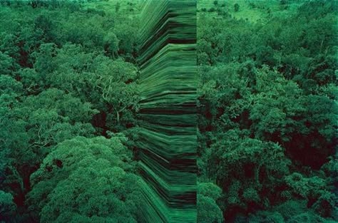 Daniel Richter, Alluka Zoldyck, Australian Photographers, Glitch Art, Land Art, Rosemary, Art Direction, Photography Inspiration, Art Inspo