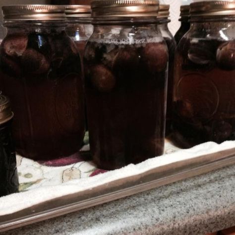 Muscadine Grape Juice (Scuppernong) Muscadine Cider Recipe, Canning Muscadine Juice, How To Make Muscadine Juice, Muscadine Grape Juice Recipe, Muscadine Juice Recipe, Muscadine Recipes, Wild Grape Jelly Recipe, Muscadine Recipe, Homemade Grape Juice